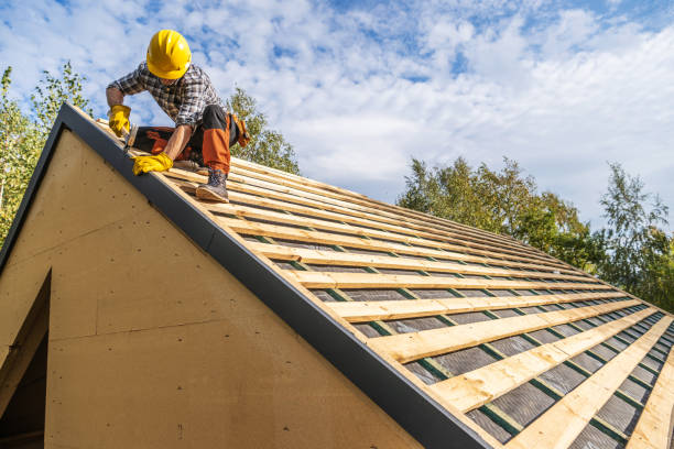 Gutter Installation and Roofing in Eucalyptus Hills, CA