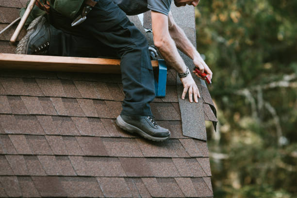 Best Roof Gutter Cleaning  in Eulyptus Hills, CA